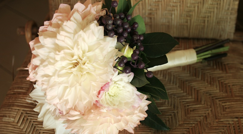 Dinner Plate dahlias in brides bouquet